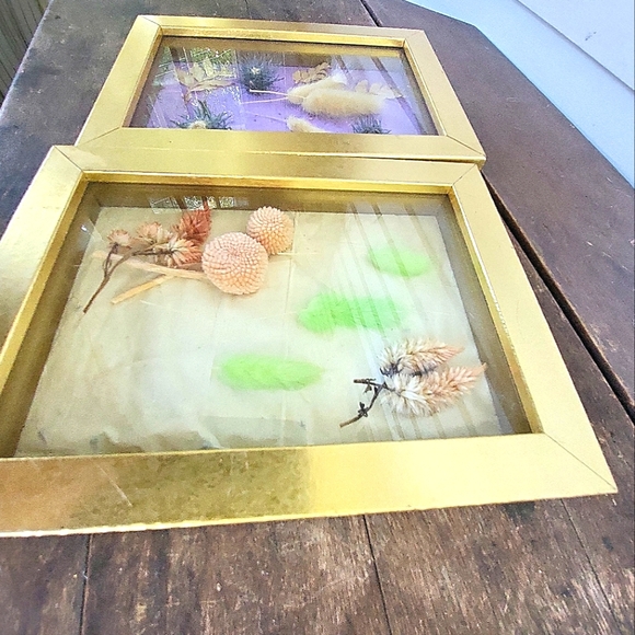 Dried Flower Taxidermy Framed Shadow Box Art Set of 2 - Picture 9 of 11